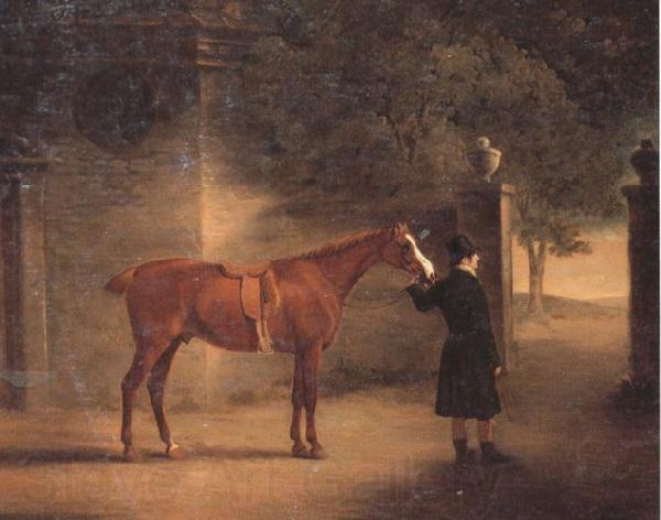 John Ferneley Mr Wombell's Hunter with a Groom in a Courtyard Norge oil painting art